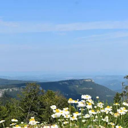 Discover Daire Jahorina